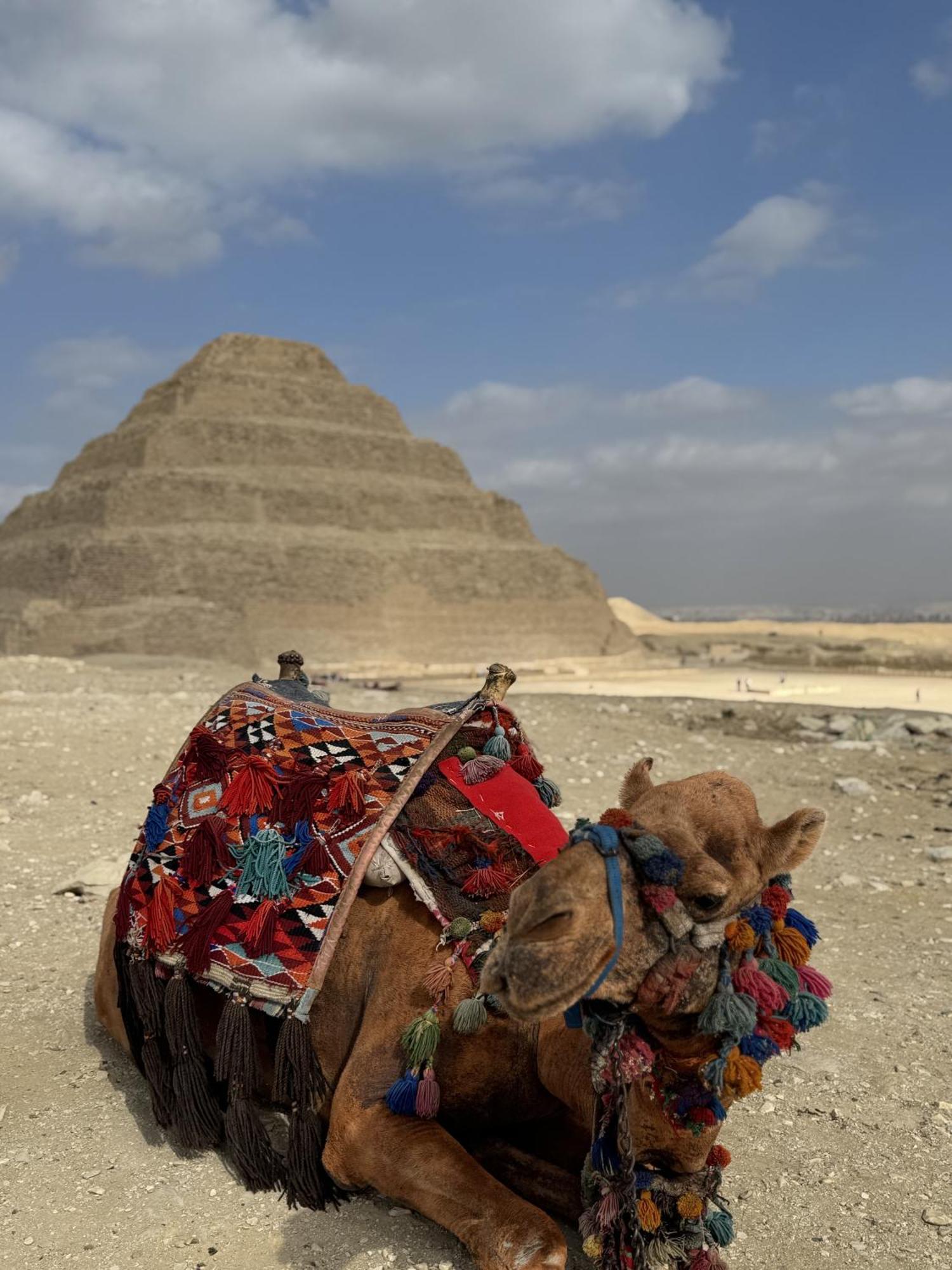 K Boutique Hotel Medspa-Pyramids & Grand Egyptian Museum Ghatati Bagian luar foto